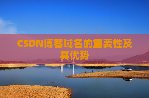 CSDN博客域名的重要性及其优势
